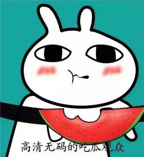 吃瓜的表情代表什么